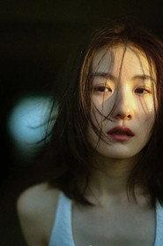 Wang Yi profile photo