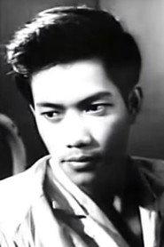 Quang Tùng profile photo
