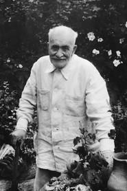 Mikheil Mamulashvili profile photo