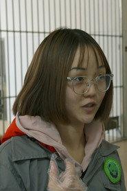 王茜 profile photo