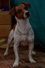 Max profile photo