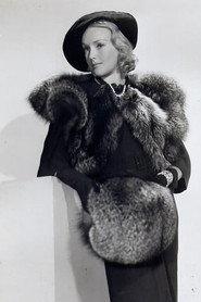 Sandra Storme profile photo