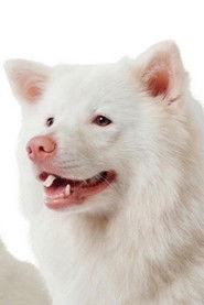 Meechok profile photo