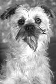 Laughing Gravy profile photo