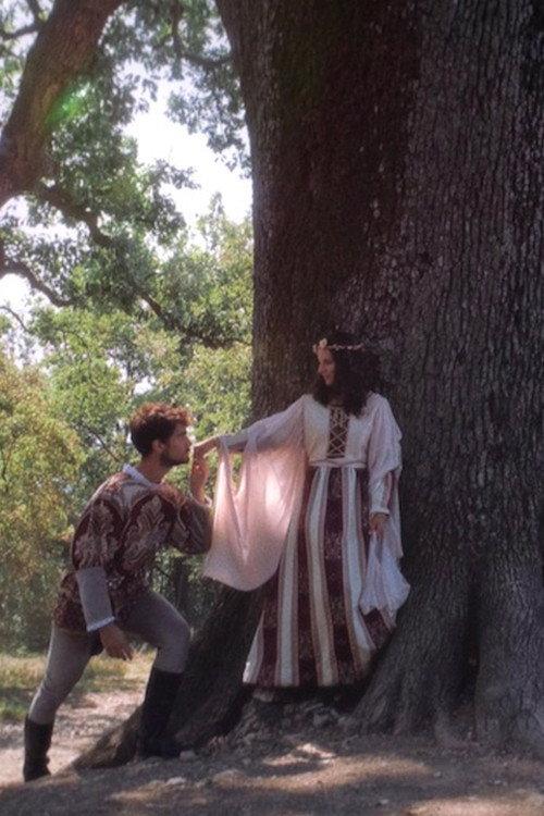 Tale of The Great Oak backdrop