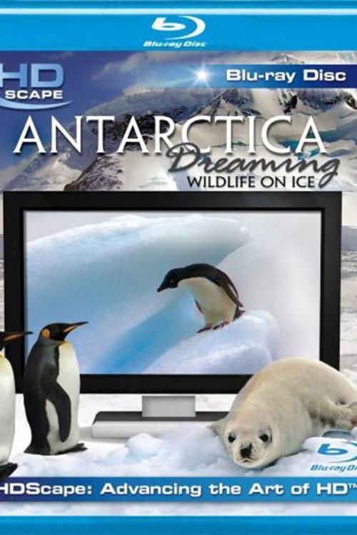Antarctica Dreaming backdrop
