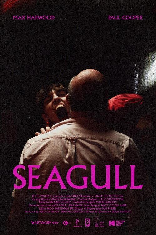 Seagull backdrop