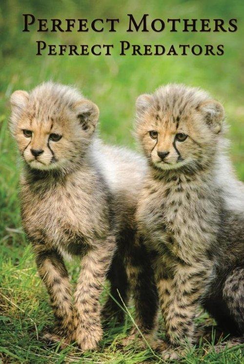 Perfect Mothers, Perfect Predators backdrop