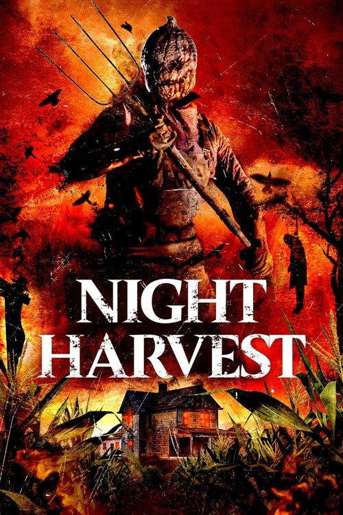 Night Harvest backdrop