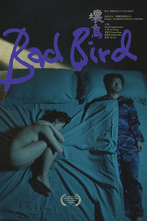 Bad Bird backdrop