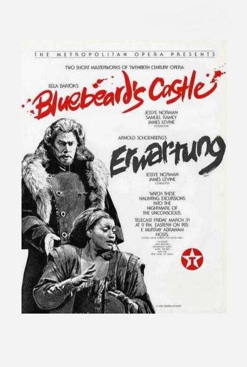 Bluebeard’s Castle / Erwartung (The Met) backdrop