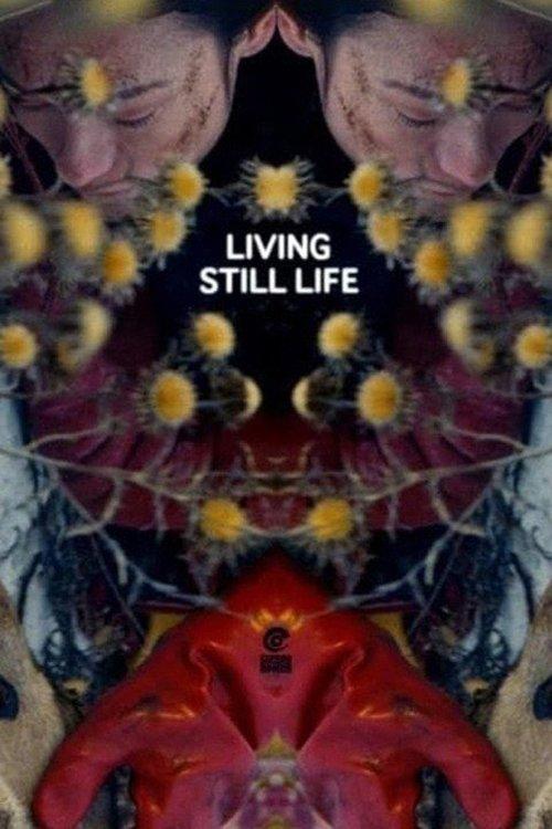 Living Still Life backdrop