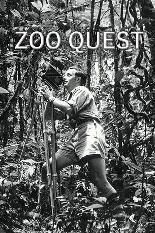 Zoo Quest backdrop