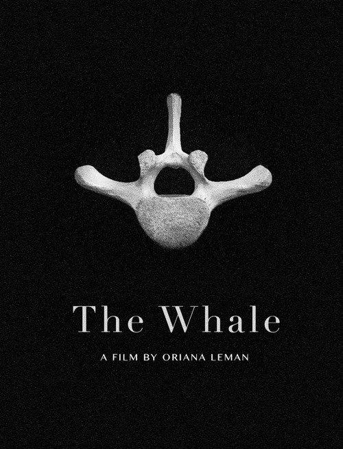 The Whale backdrop