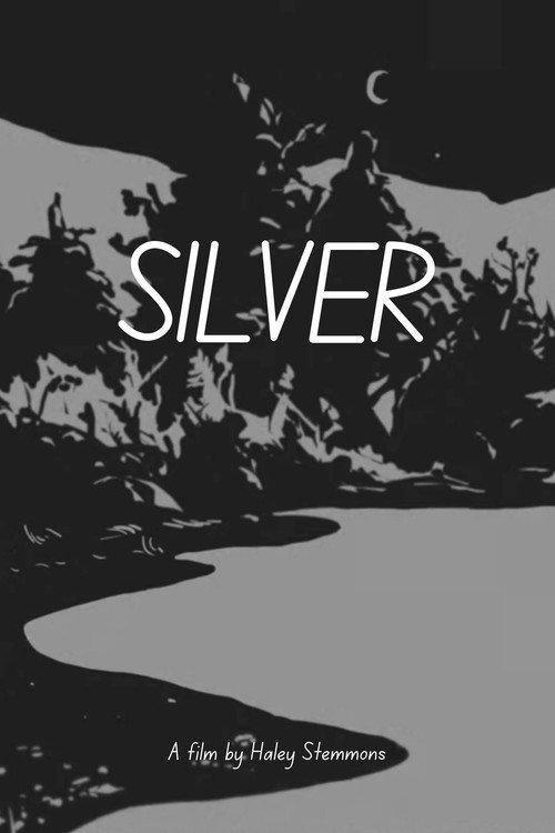 Silver backdrop