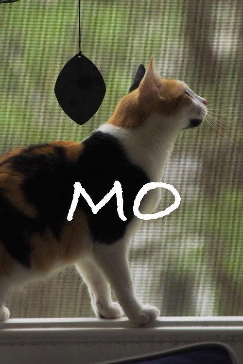 Mo backdrop