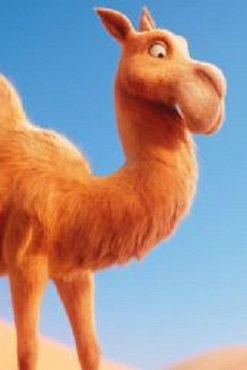 Itchy the Camel: Tennis Ball backdrop