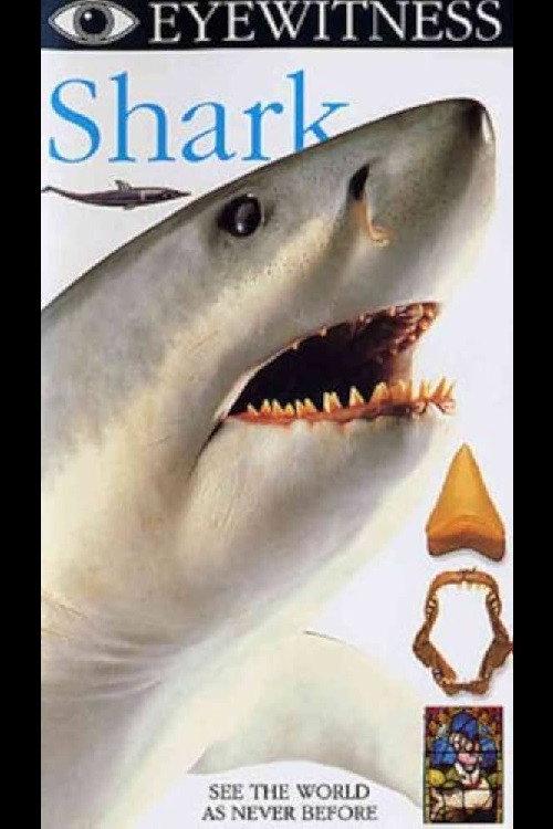 Eyewitness: Shark backdrop