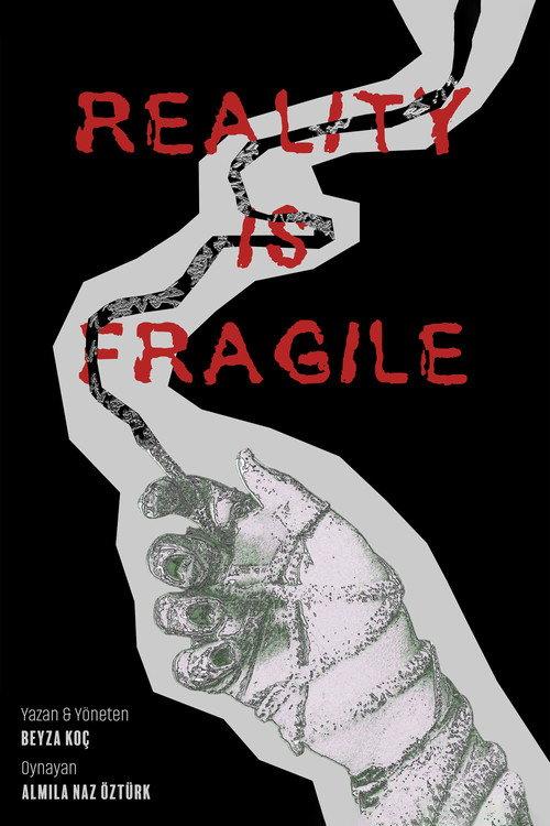 Reality Is Fragile backdrop