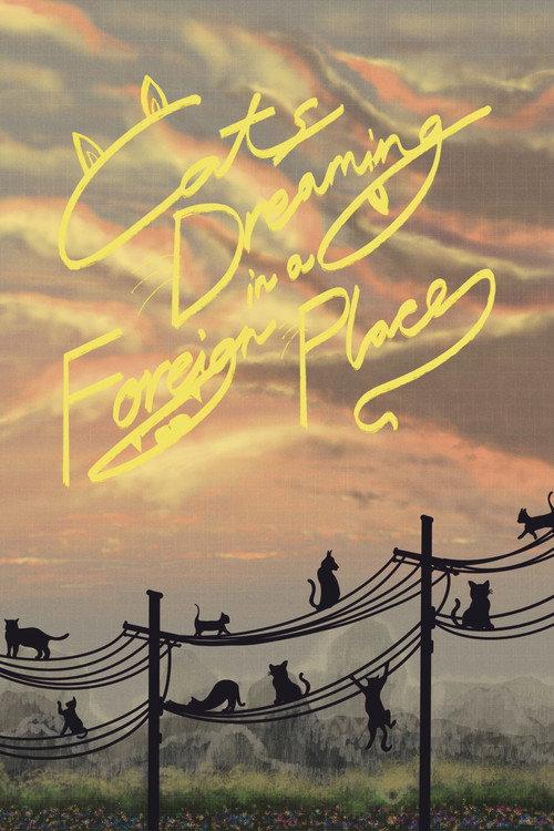 Cats Dreaming in a Foreign Place backdrop