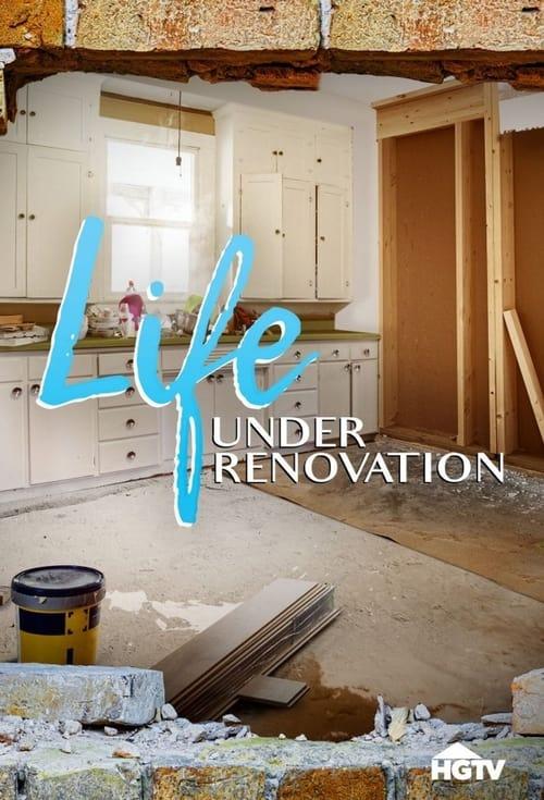 Life Under Renovation backdrop