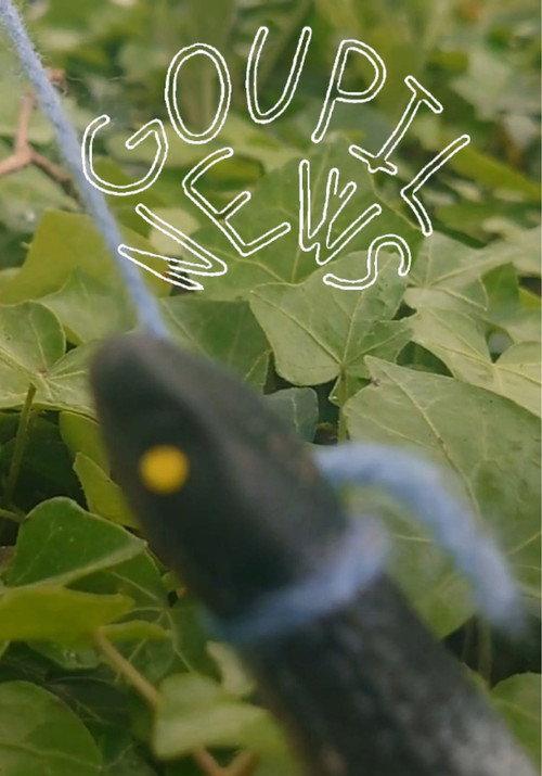 Goupil News backdrop