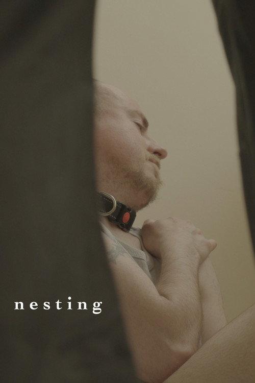 Nesting backdrop