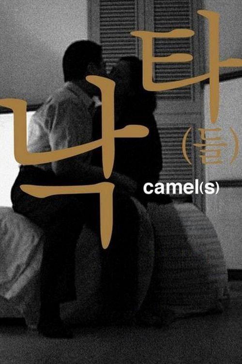Camel(s) backdrop