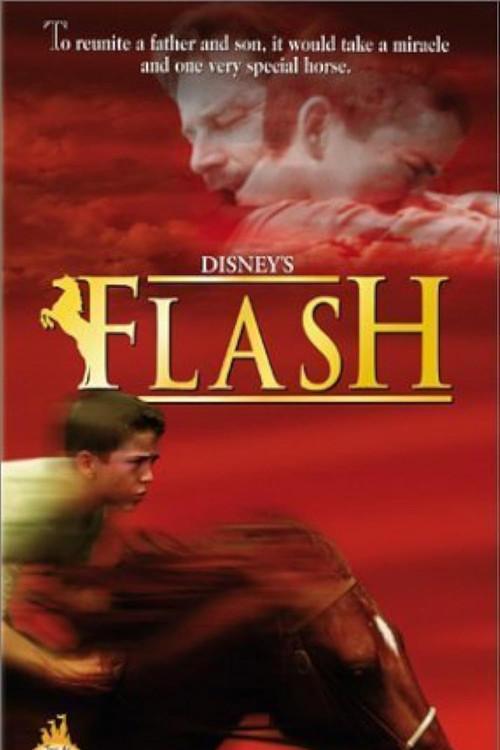 Flash backdrop