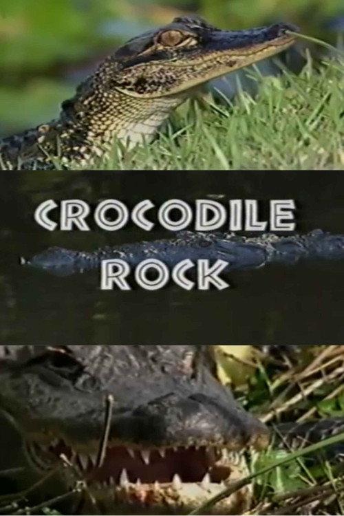 Crocodile Rock backdrop