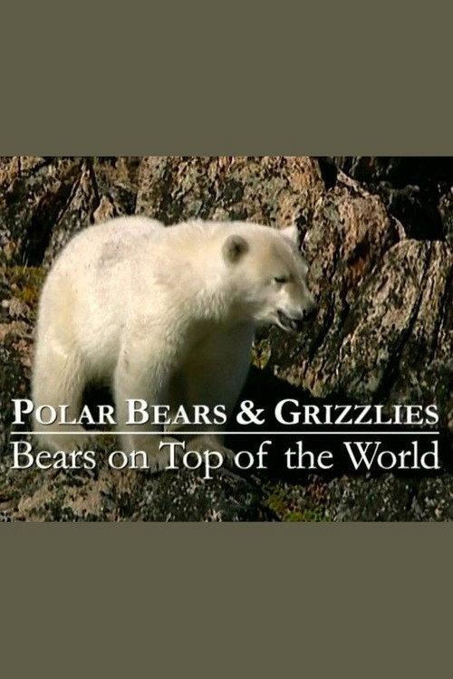 Polar Bears & Grizzlies: Bears on Top of the World backdrop