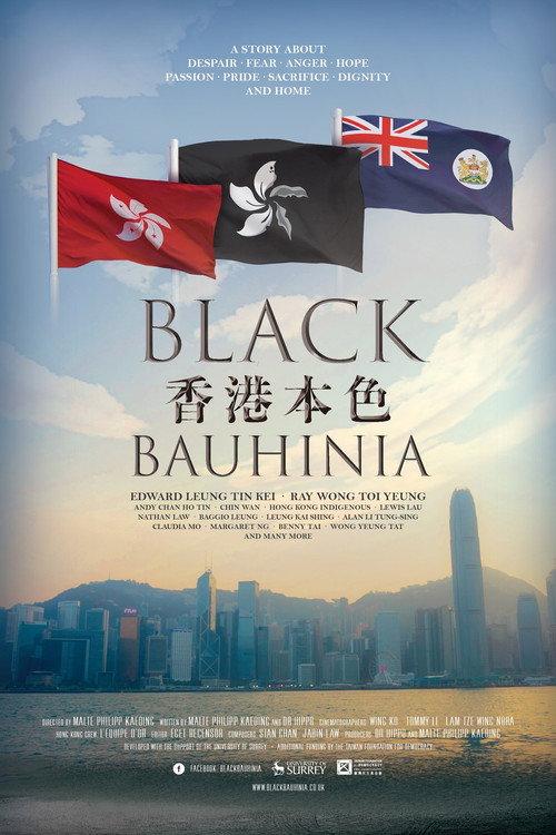 Black Bauhinia backdrop