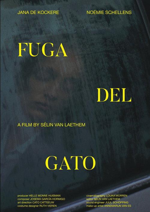 Fuga Del Gato backdrop