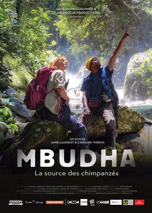 Mbudha, in the Chimpanzees' Footsteps backdrop