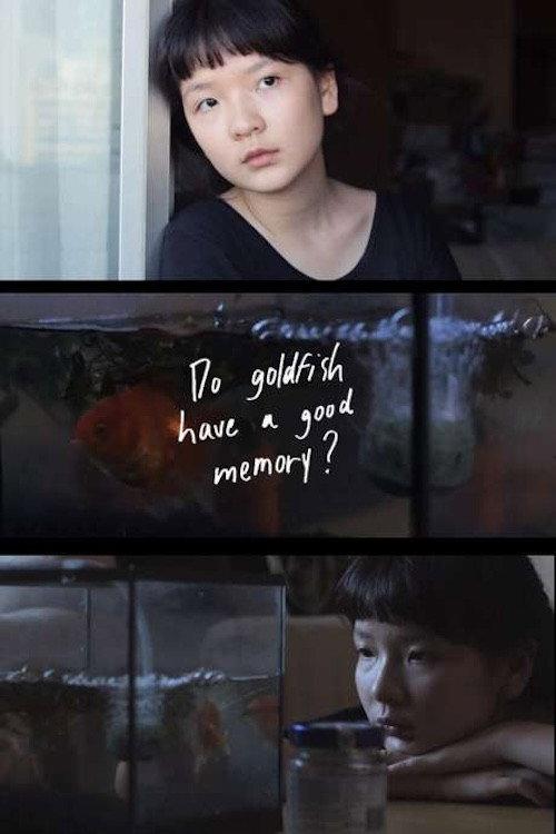 Do Goldfish Have a Good Memory? backdrop