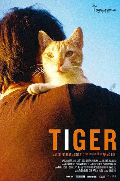 Tiger backdrop