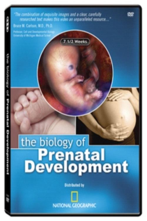 The Biology of Prenatal Development backdrop