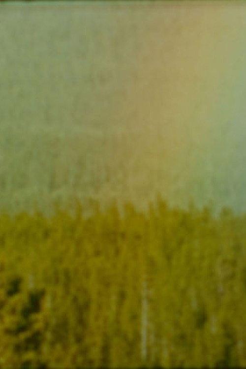 Bird backdrop