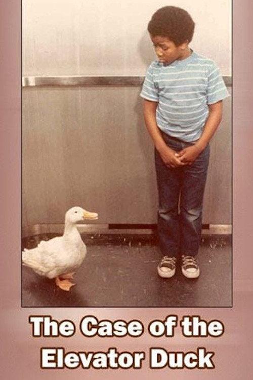 The Case of the Elevator Duck backdrop