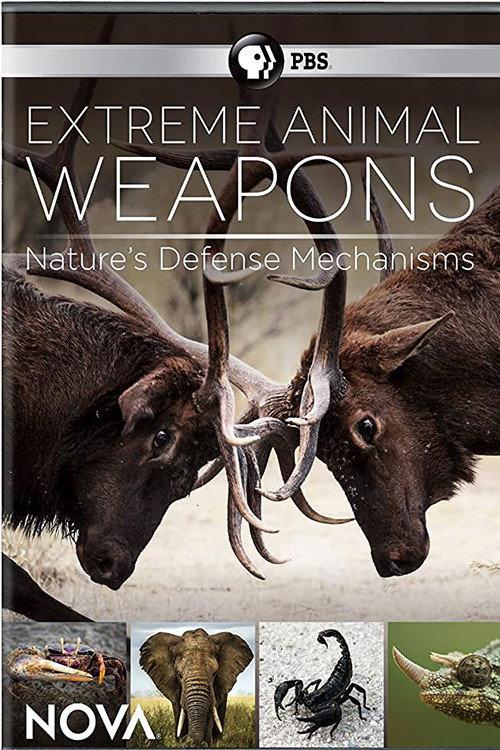 Extreme Animal Weapons backdrop