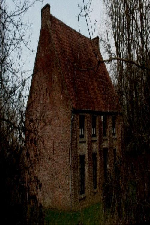 From Vincent's House in the Borinage backdrop
