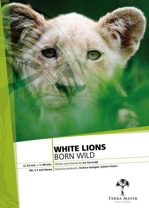 White Lions Born Wild backdrop