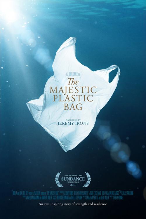 The Majestic Plastic Bag backdrop