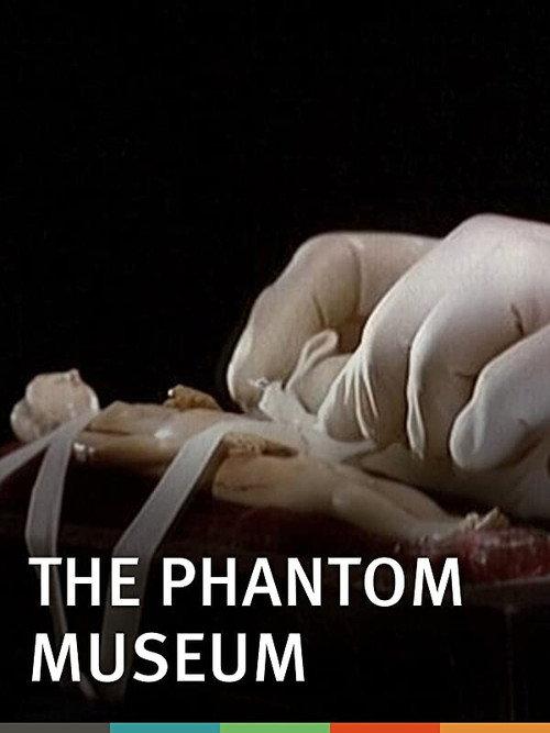 The Phantom Museum: Random Forays Into the Vaults of Sir Henry Wellcome's Medical Collection backdrop