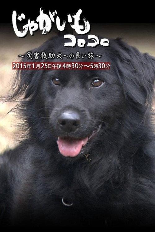 Jagaimo Korokoro ~ Saigai Kyūjo Inu e no Nagai Tabi backdrop