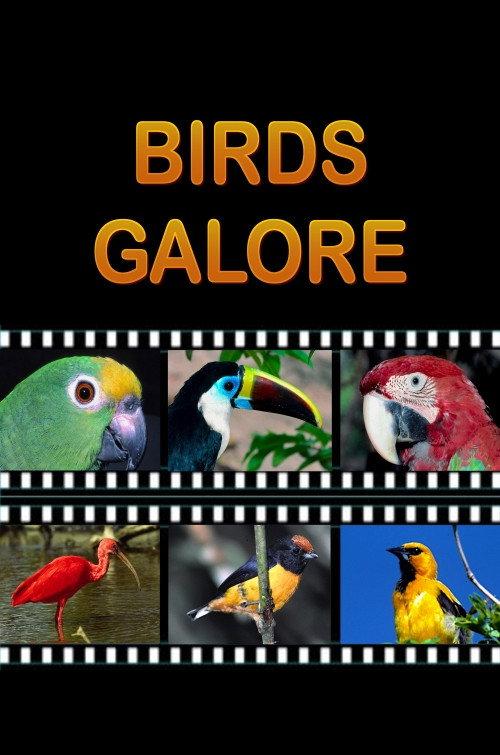 Birds Galore backdrop