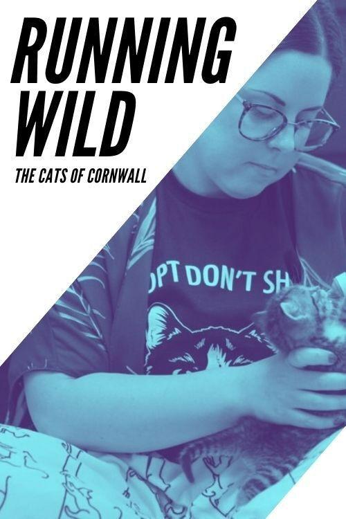 Running Wild: The Cats of Cornwall backdrop