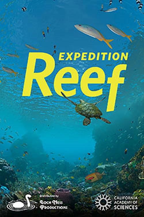 Expedition Reef backdrop