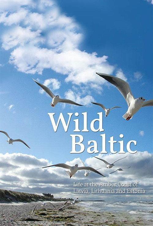 Wild Baltic backdrop