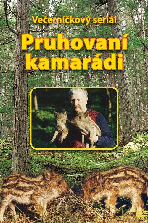 Pruhovaní kamarádi backdrop
